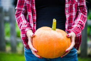 University Place - Pumpkin Decorating For Ages 14 and Up @ Art Studio 27 | University Place | Washington | United States