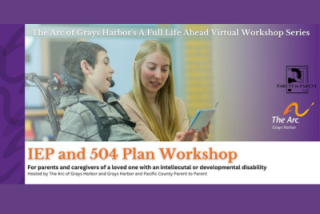 Online - IEP / 504 Plan Workshop @ Online Event