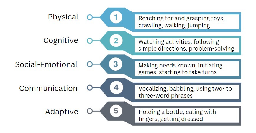 Five areas of a child's development: Physical, Cognitive, Social - Emotional, Communication and Adaptive